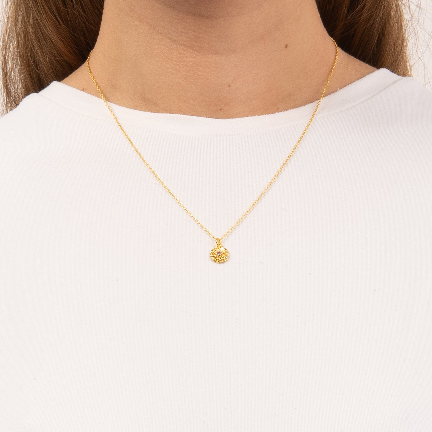DETAIL255572